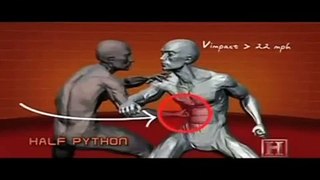 MMA: Silat: Half Python