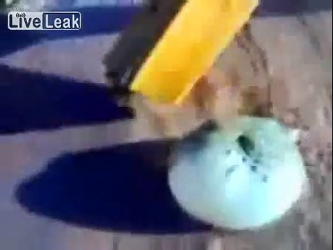 Нашли На Берегу Саудовской Аравии...