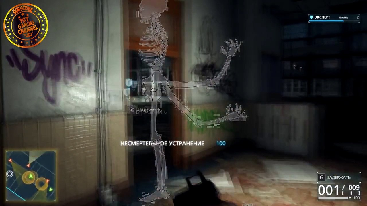 NVIDIA-,-AMD--!
