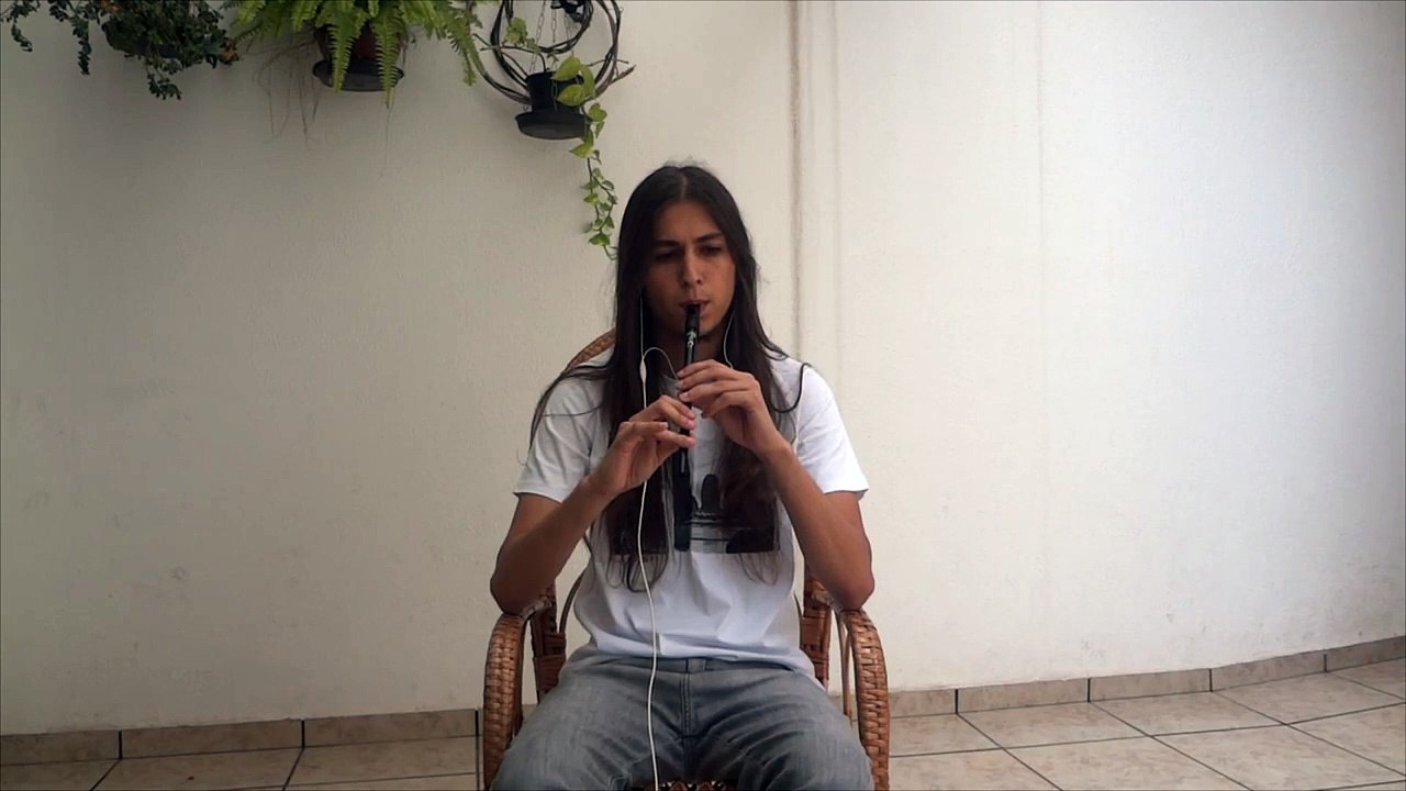 Forrest Gump Theme - Tin Whistle