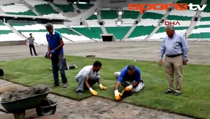 Timsah Arena çimleniyor!