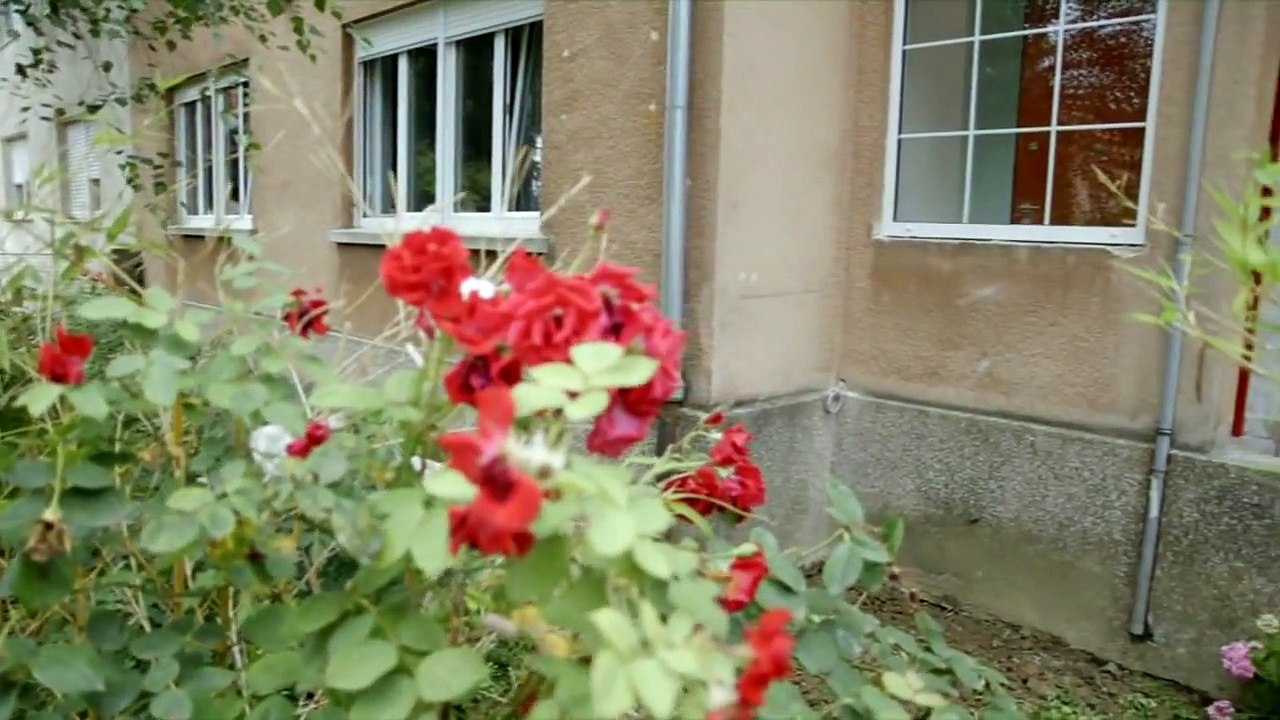 Uradi sam Vrt 4SE 1EP