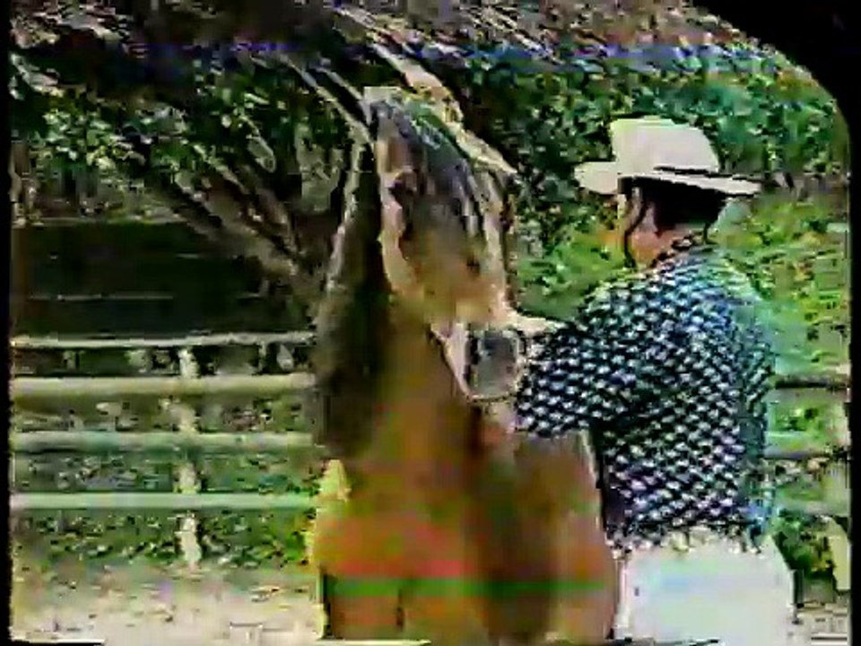 CAPITAN DE LA VITRINA-II PARTE