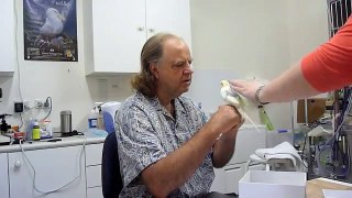 Cockatiel Health check with Dr Ross Perry Part 1