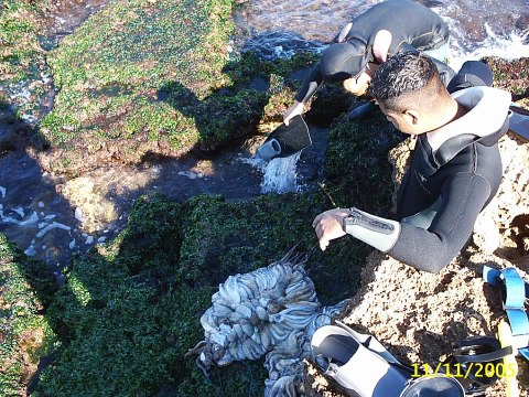 2005 Liban Tripoli, La Ville, Les Cèdres du Liban, Trablous, Bcharré, Vallée Qadisha, Gibran