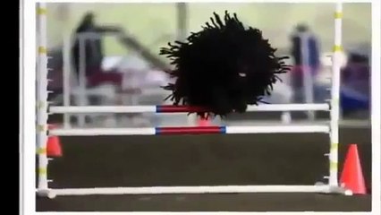 Top Funny Moments in Football # Are You Ready!