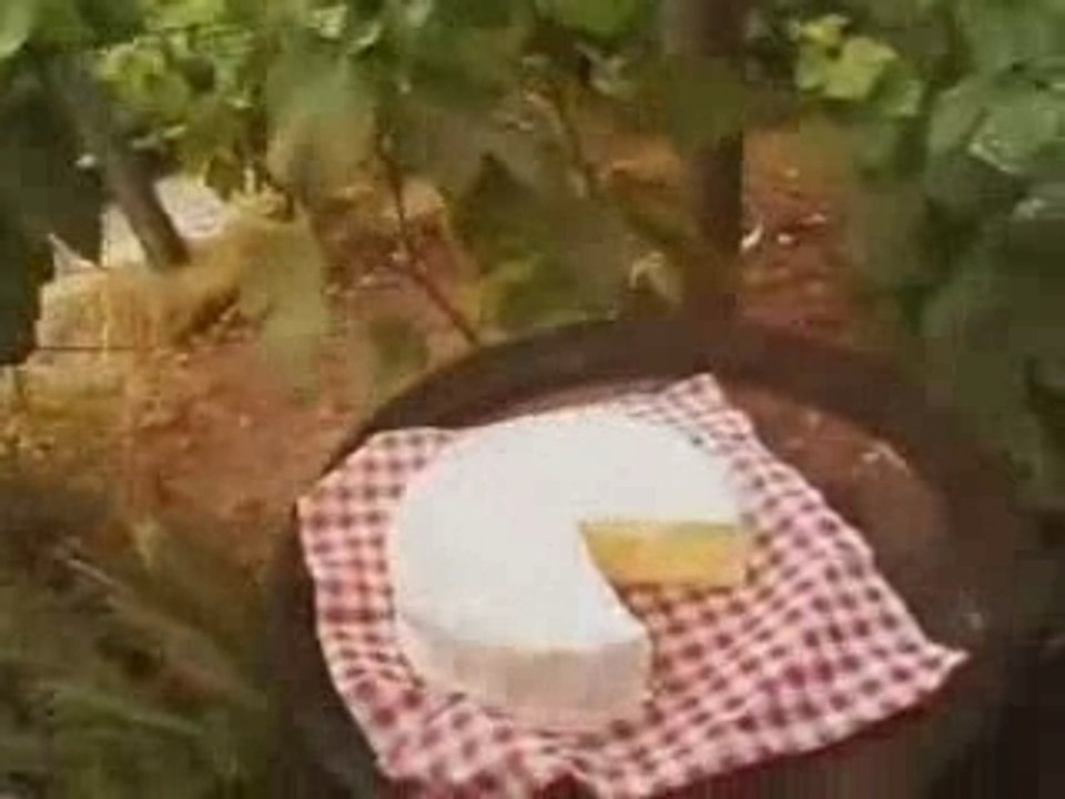 svinkels-prohibition