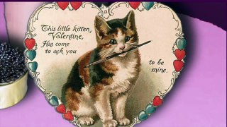 Funny Valentine's Day Cats as Romeo And Juliet - Bob And Charlie's World
