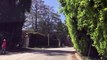 Tour the finest street in Los Angeles - Mapleton Drive in the Holmby Hills area.