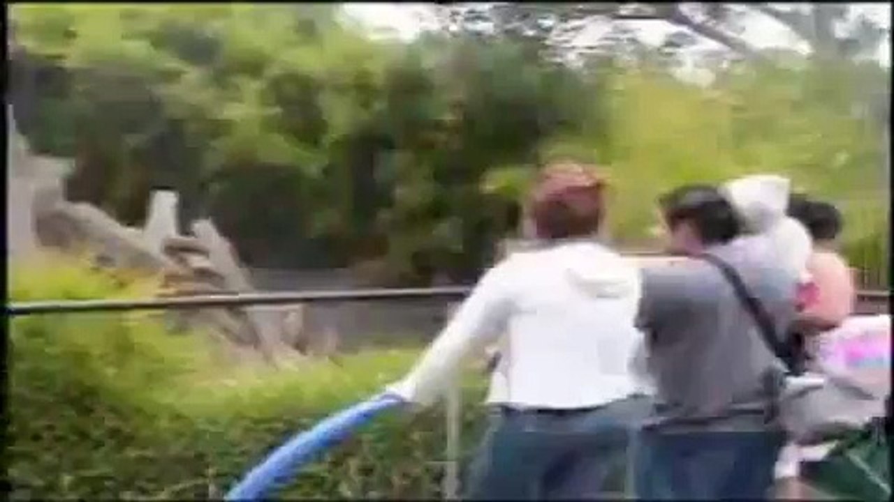 просто пиздец какая жесть.flv