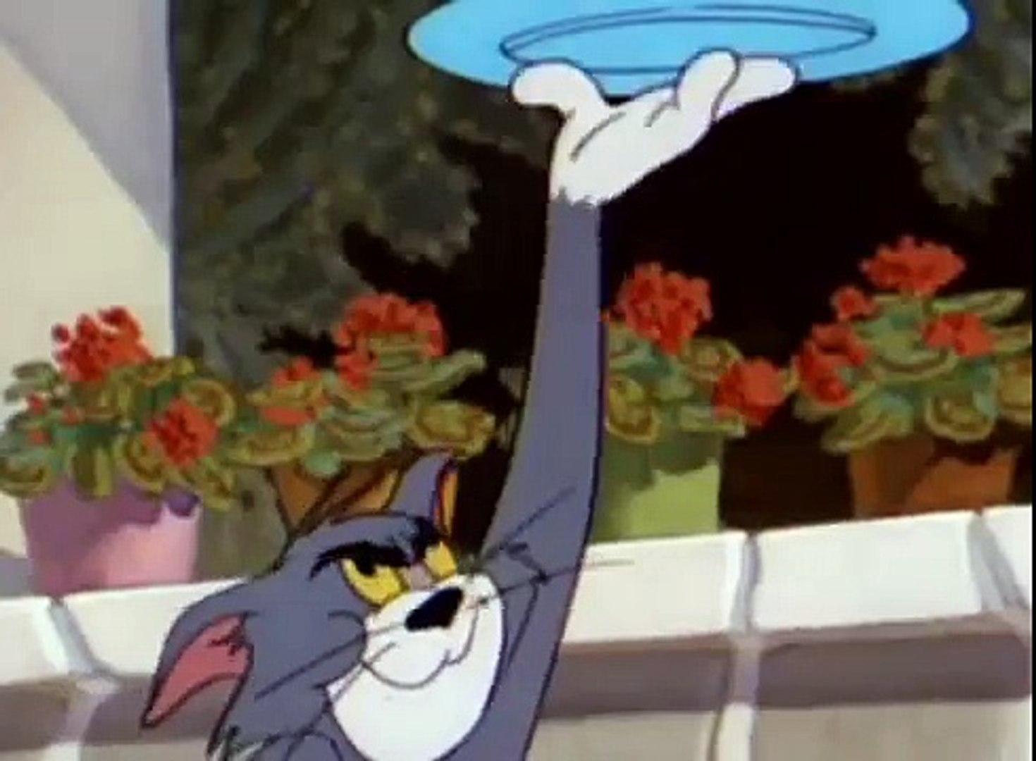 Tom and Jerry Cartoon 063 The Flying Cat 1952 - video Dailymotion
