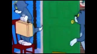 Timid Tabby Tom And Jerry Cartoon