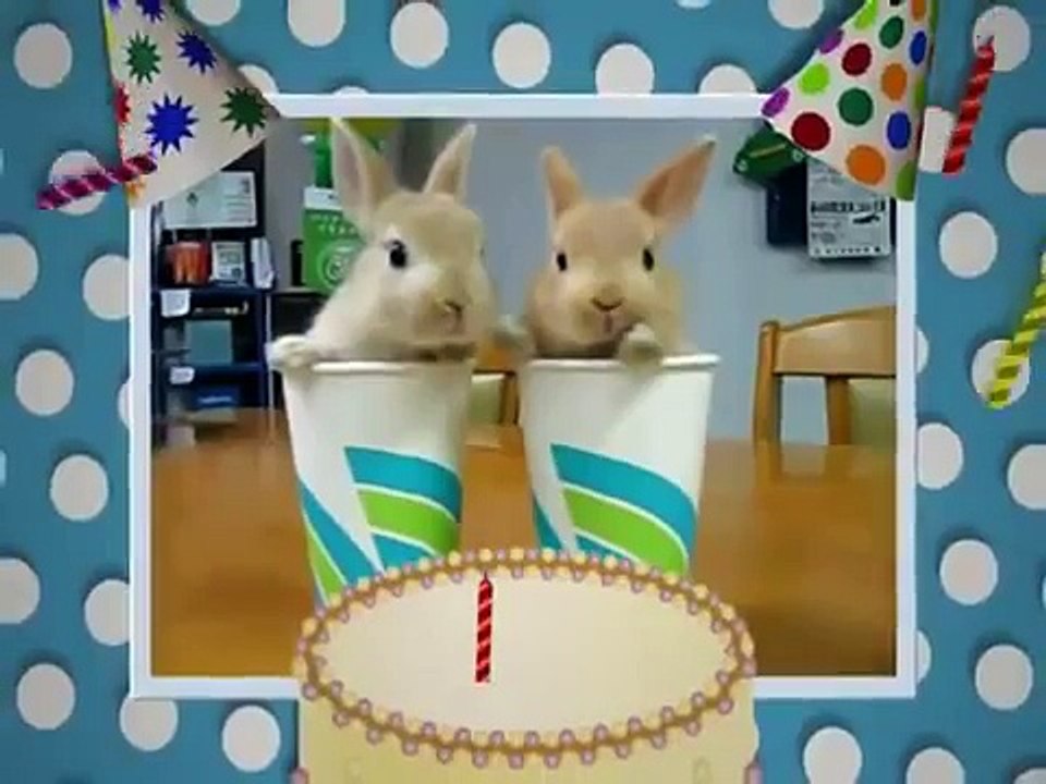 Happy Birthday, Honey Bunny!