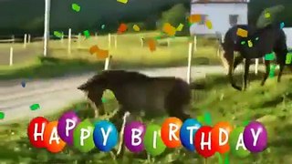 Happy Birthday, Horse Style!