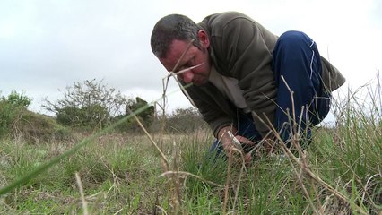 Uma pista da conquista do Rio da Prata
