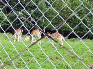 Les enfants du pays douce france