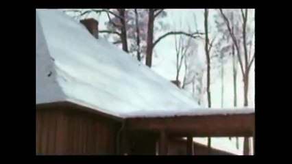 Adolf Hitler incontra primo ministro di Romania Ion Antonescu