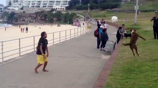 Funny Videi @ playing Football