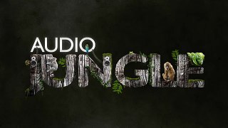 Music - Action Teaser | AudioJungle