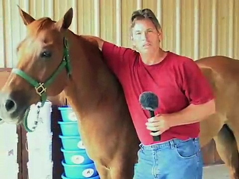 Randy Lindsey using EquiPride Horse Supplement