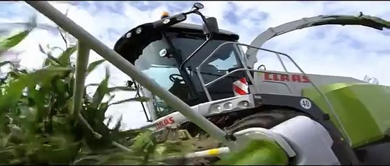 CLAAS JAGUAR 980 / 2008