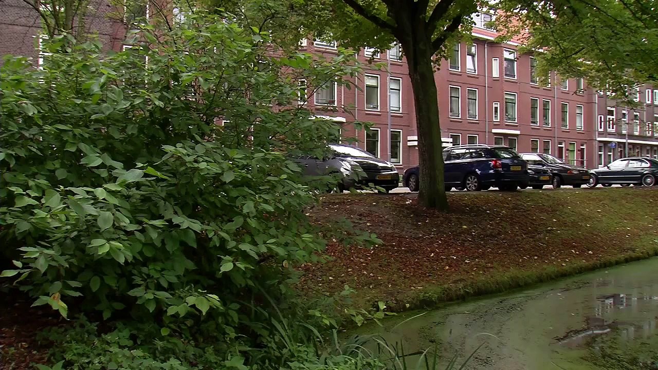 Nieuwe Westen