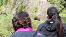 Up close and personal with a Grizzly Bear in the Great Bear Rainforest