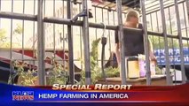 KUSI San Diego: Hemp Farming in America (Part 1)