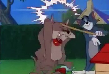 Tom And Jerry and The Dog New House