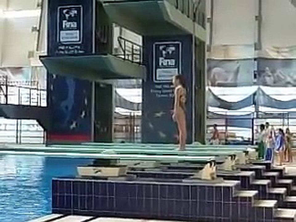 INTERNACIONAL DE CLAVADOS Y ALGO MAS