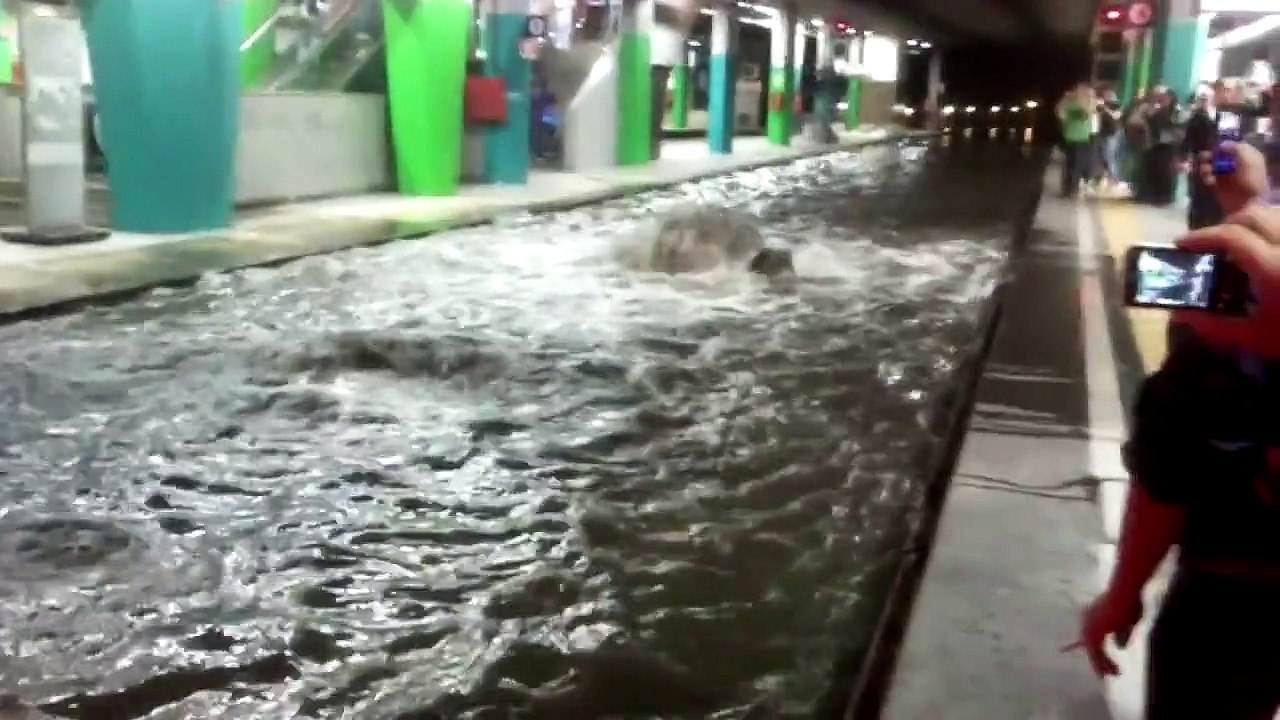 ALLAGAMENTO METRO NAPOLI (Piazza Garibaldi) - 12/10