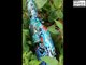 Re-Cycle Diy Glass Bottle Art | Home Decoration Ideas |Painted