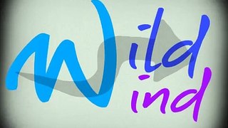 [Trailer] NoLimits - Wild Wind Megacoaster Intamin AG Animated POV