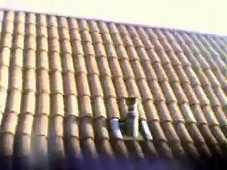 Blade CX2 and onboard camera 2