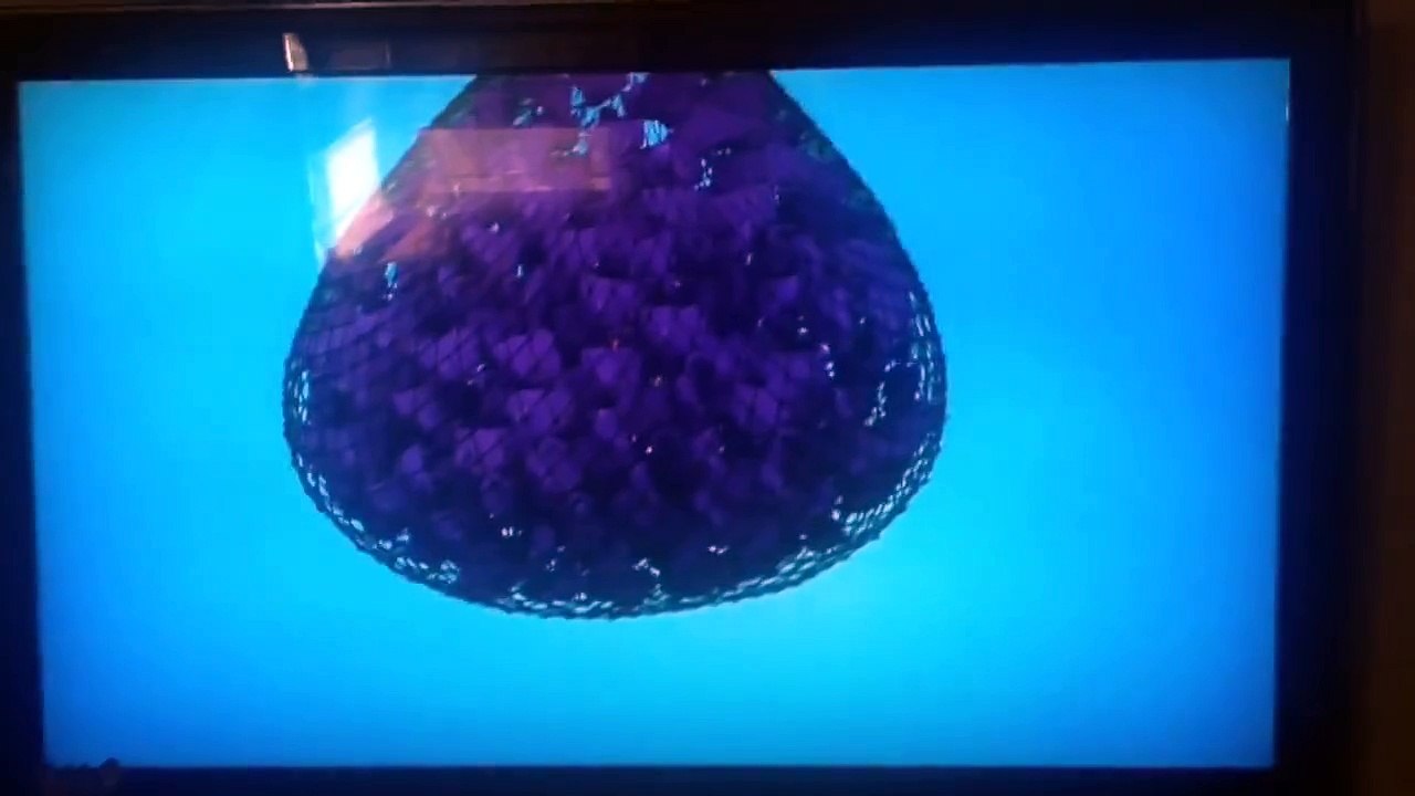 Disney Junior Logo: Finding Nemo