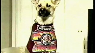 Superhuman Samurai Syber-Dog