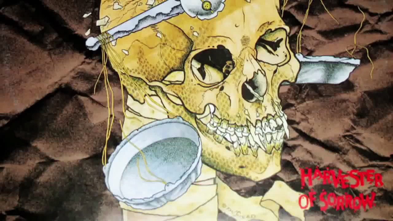 Metallica - Harvester Of Sorrow Guitar Cover