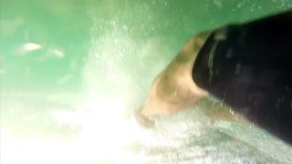 Great White Shark Spotted at El Porto Beach 10/15/2013