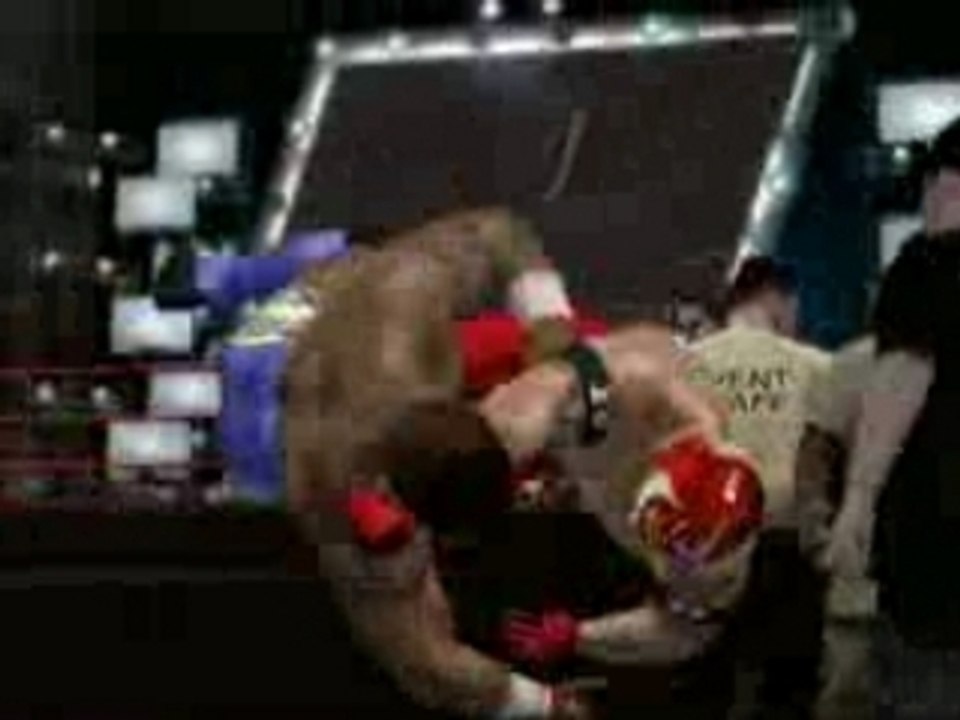 Wwe_smackdown_vs._raw_2007_