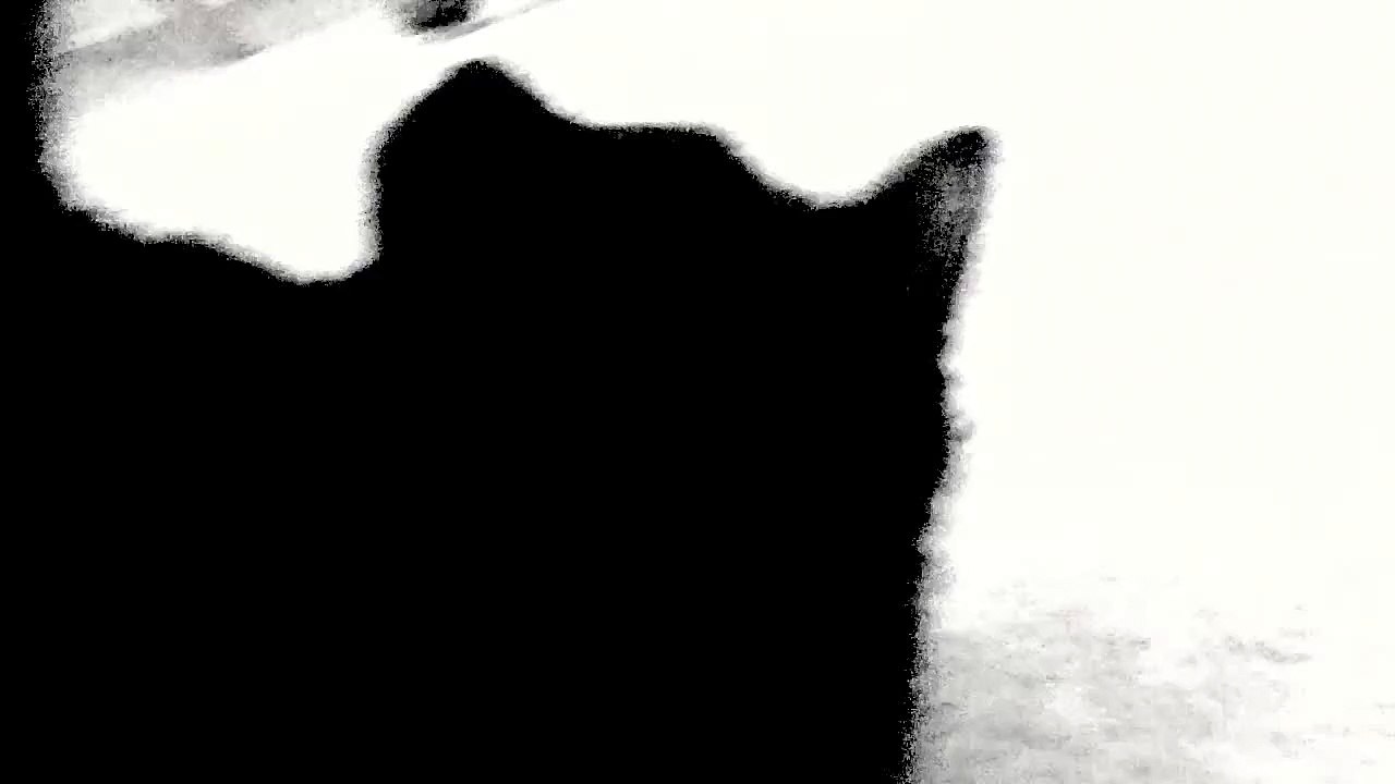 Wildcat Strike Auditions (No. 9 - Steve from Charleston, South Carolina)