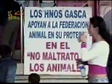 ANIMALES DEL CIRCO GASCA MALTRATADOS