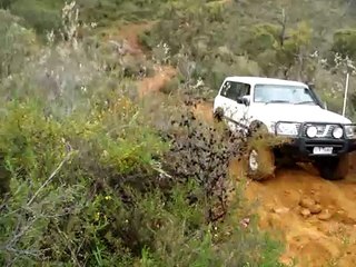 GU Patrol toodyay red hill.