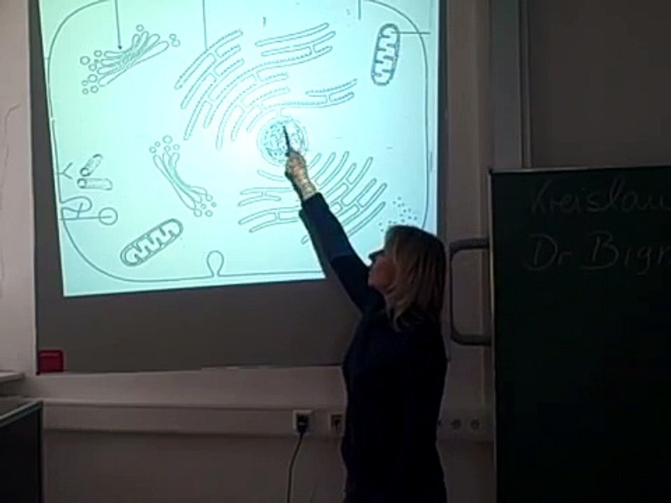 Bignion-TV: Die Zelle