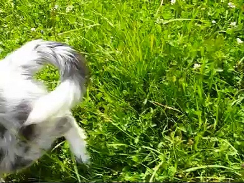 Nia, 4months+1week