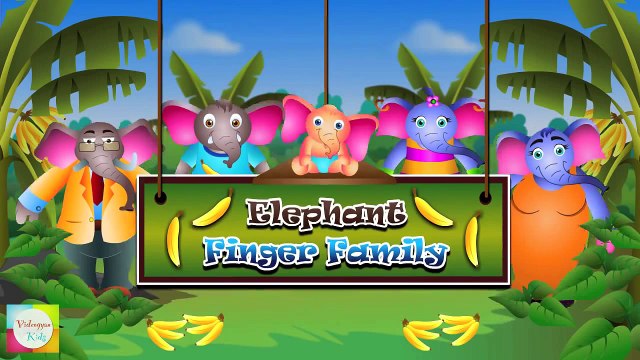 Finger Family Elephant | ChuChu TV Animal Finger Family Songs & Nursery Rhymes For Childre