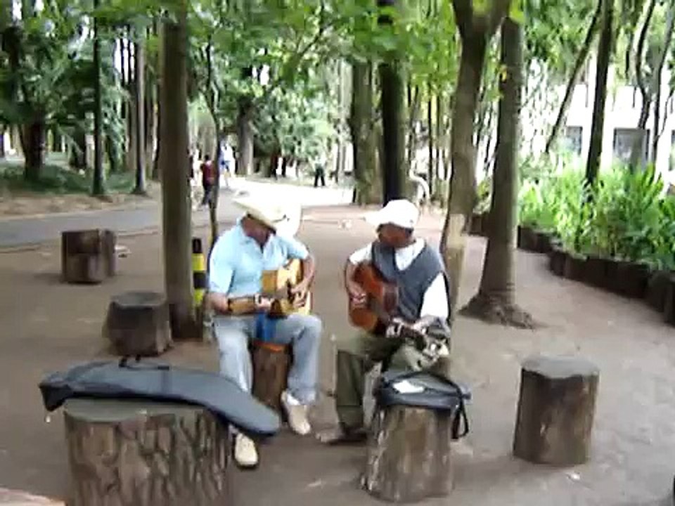 Moda de viola