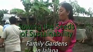 Sowing the Seeds of Sustainability - Part 1