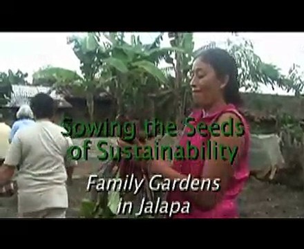 Sowing the Seeds of Sustainability - Part 1