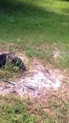 Pokémon Go - LEAKED GAMEPLAY 2015!