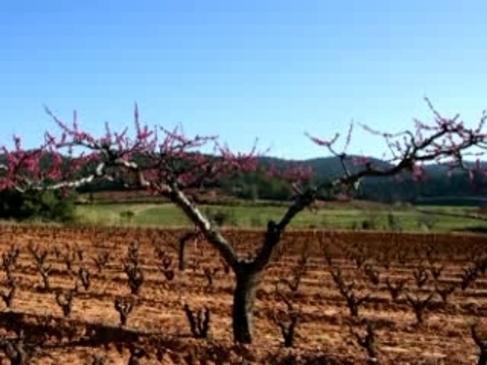 Ballade au printemps